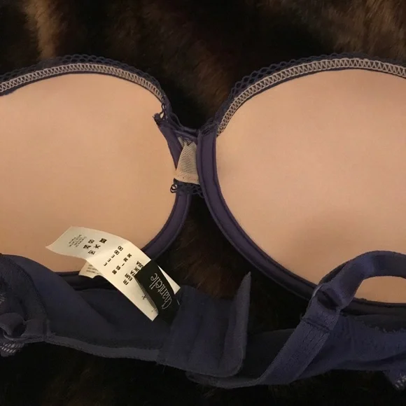 Chantelle 30DD NWOT BRA - Picture 5 of 6